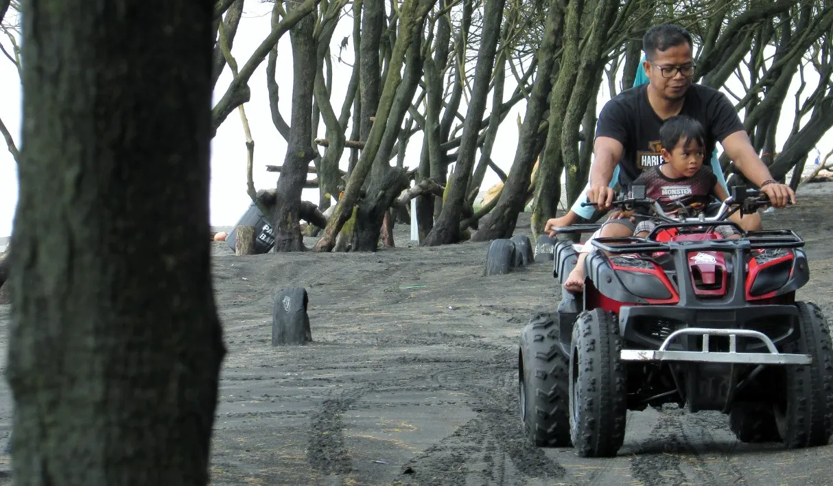 Pantai baru bantul jogja terbaru