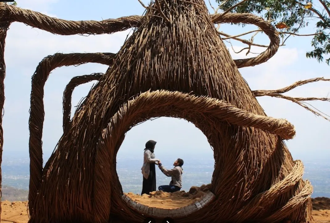 Hutan Pinus Pengger2